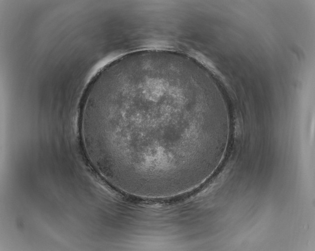 X0000110891222200906181239