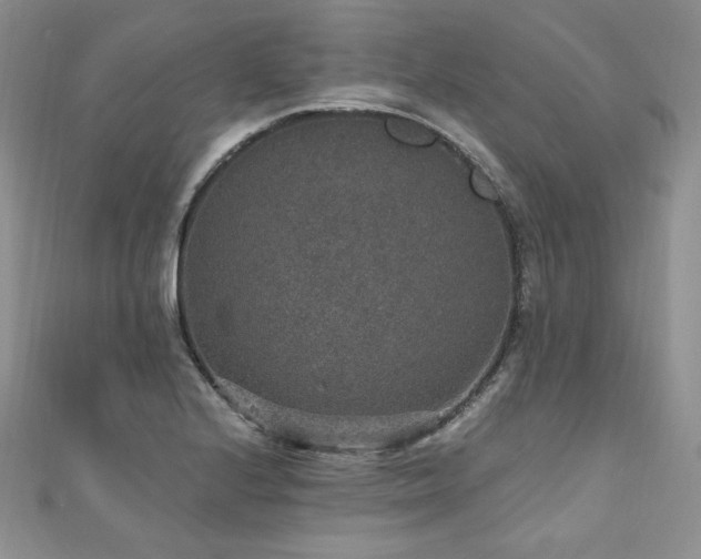 X0000110891224200906181239
