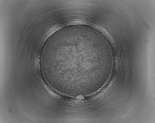 X0000110891225200906181239