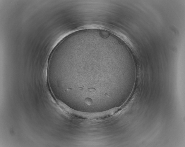 X0000110891228200906181239