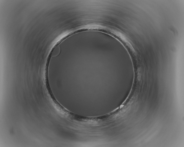 X0000110891229200906181239