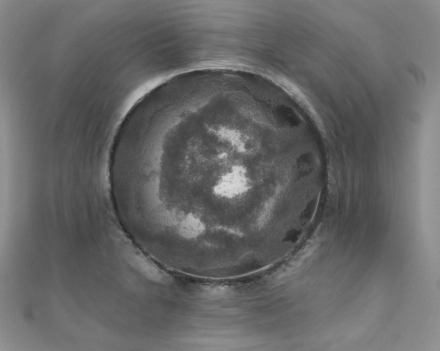 X0000110891230200906181239