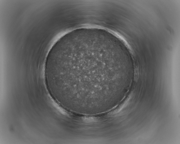 X0000110891231200906181239