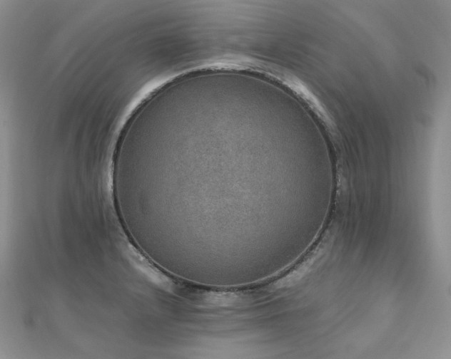 X0000110891232200906181239