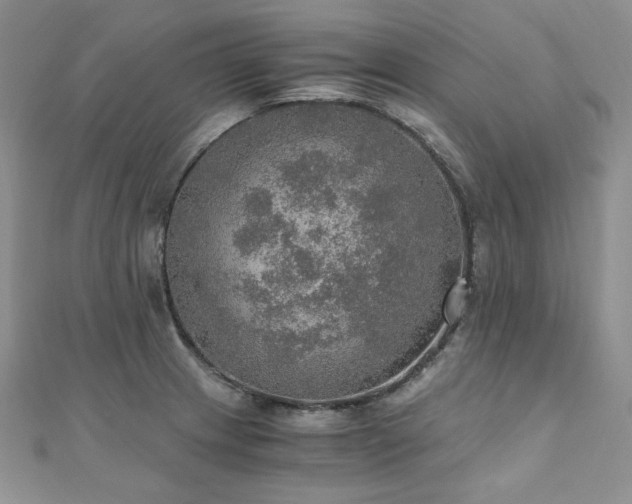 X0000110891233200906181239