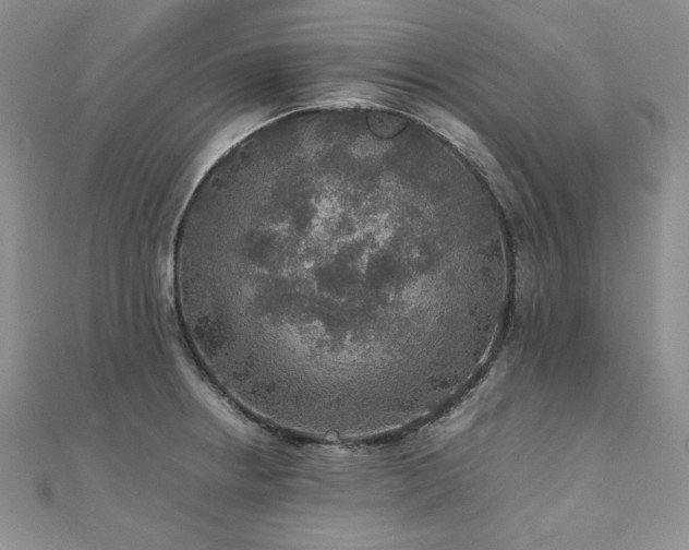 X0000110891234200906181239
