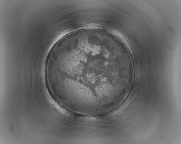 X0000110891235200906181239