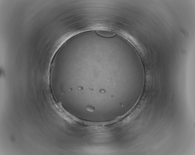 X0000110891236200906181239