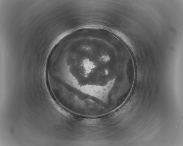 X0000110891237200906181239