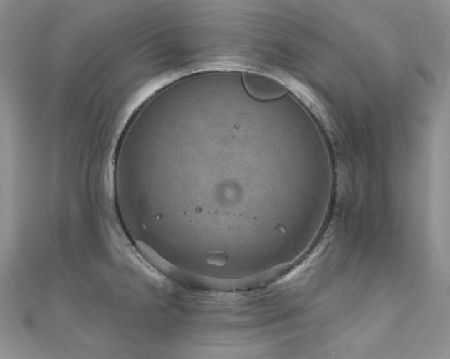 X0000110891238200906181239