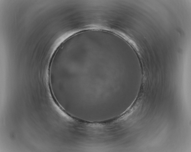 X0000110891239200906181239