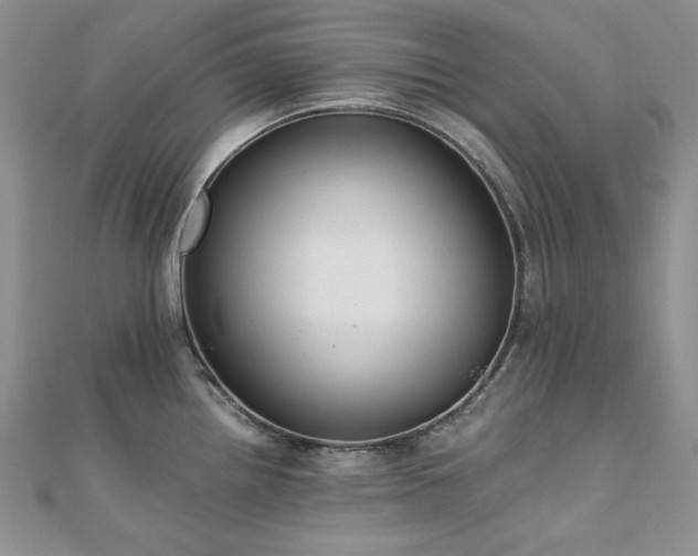 X0000110891242200906181239