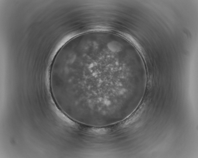 X0000110891243200906181239