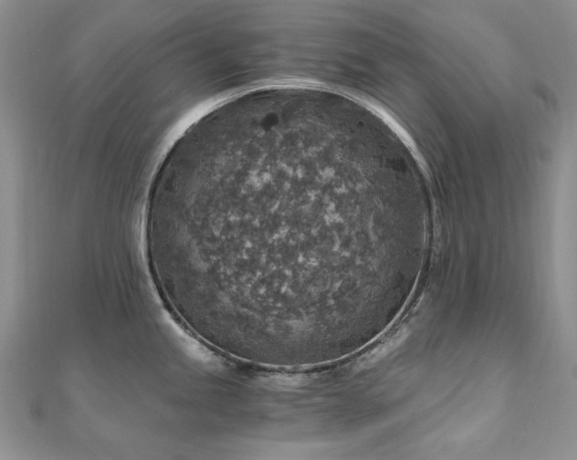 X0000110891245200906181239