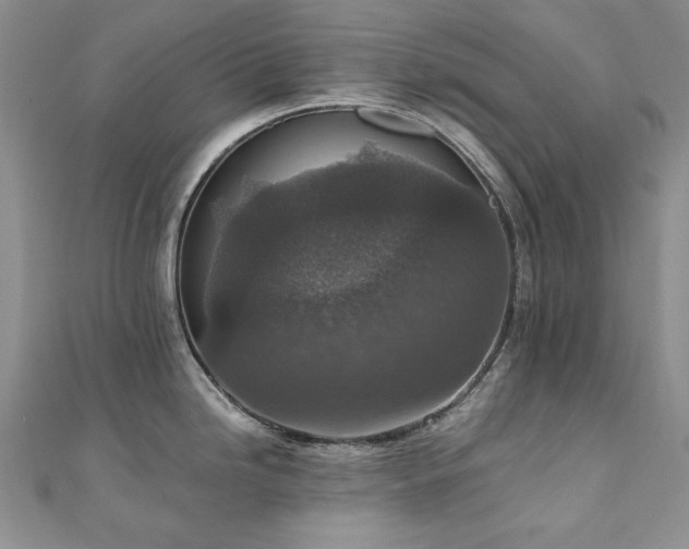 X0000110891246200906181239