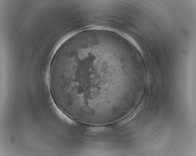 X0000110891247200906181239