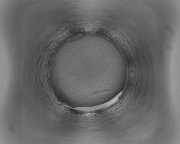 X0000110891249200906181239