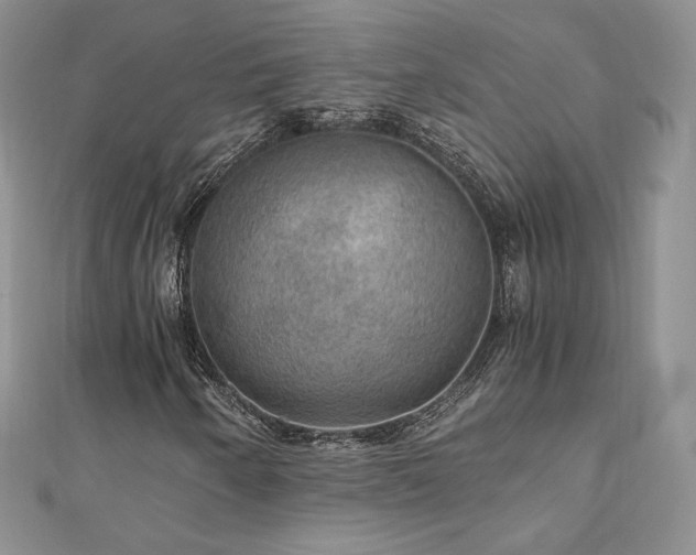 X0000110891250200906181239