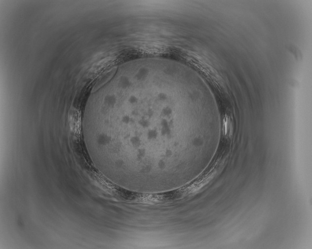 X0000110891251200906181239