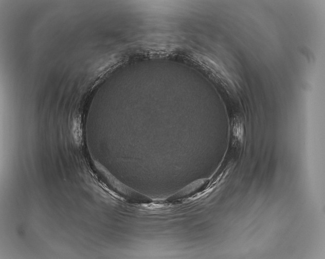 X0000110891252200906181239