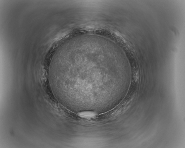 X0000110891253200906181239
