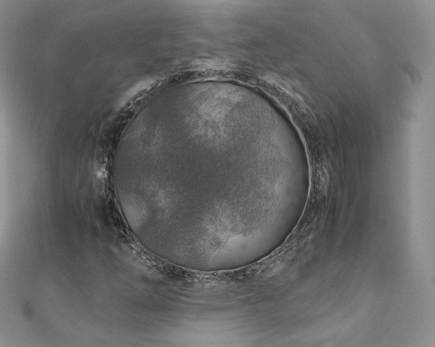 X0000110891254200906181239
