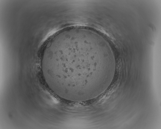 X0000110891255200906181239