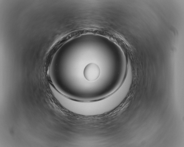 X0000110891256200906181238
