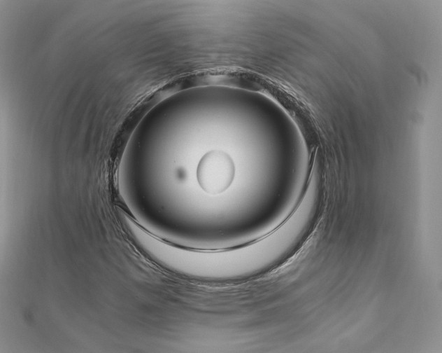 X0000110891257200906181238