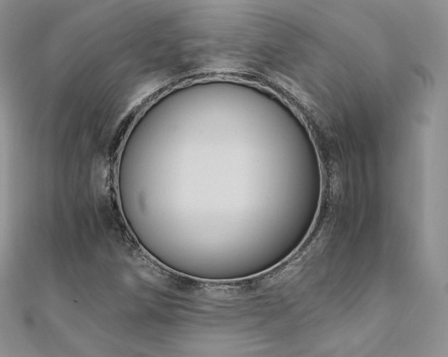 X0000110891258200906181238