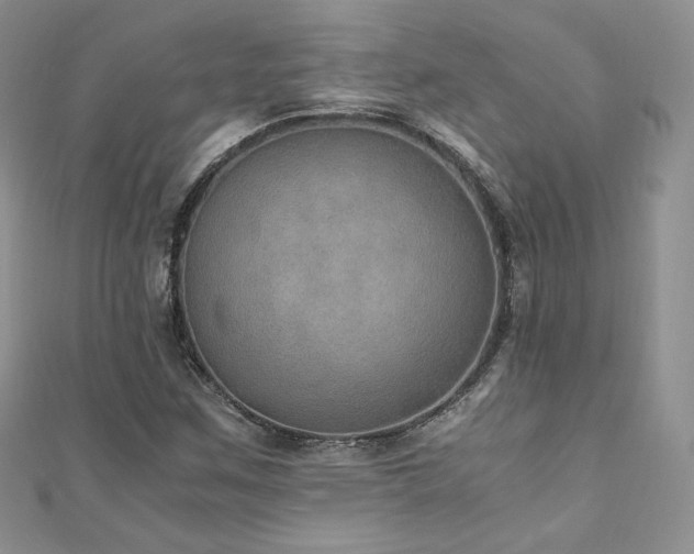 X0000110891259200906181238