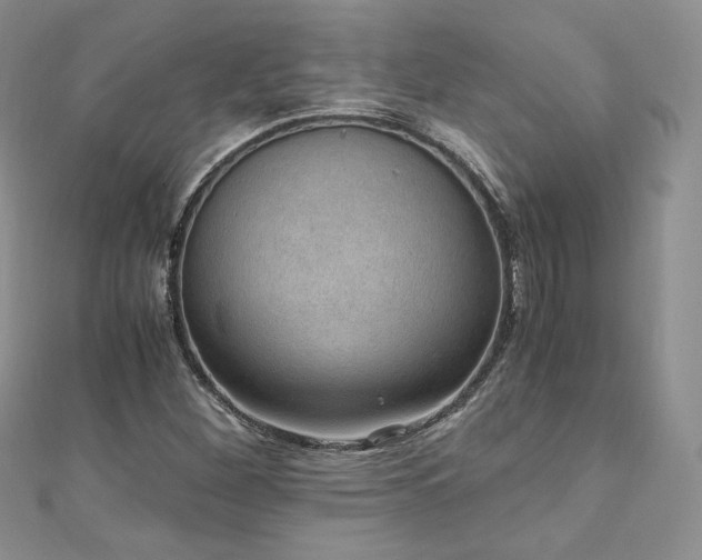 X0000110891260200906181238