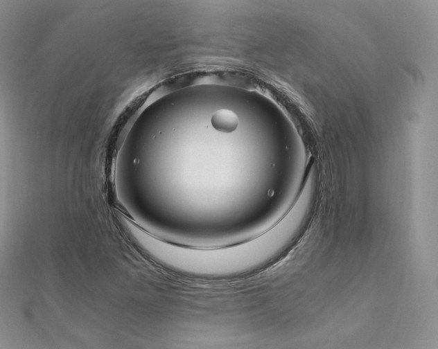 X0000110891261200906181238
