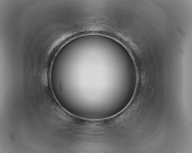 X0000110891262200906181238