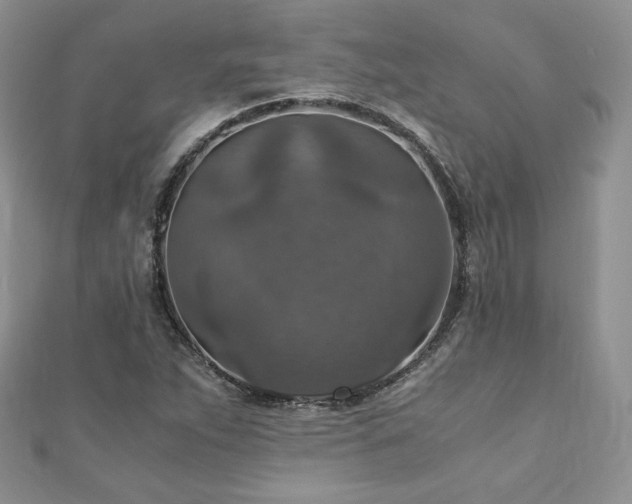 X0000110891263200906181238