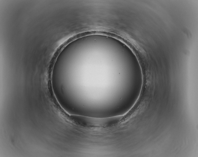 X0000110891264200906181238