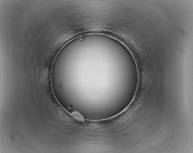 X0000110891265200906181238