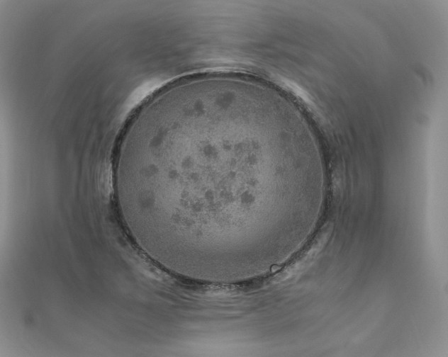 X0000110891267200906181238