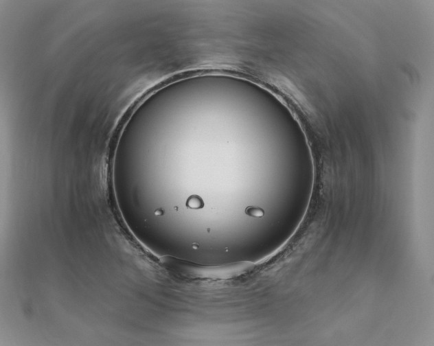 X0000110891268200906181238