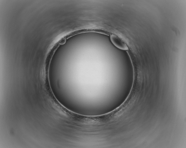 X0000110891270200906181238