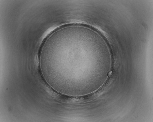 X0000110891271200906181238