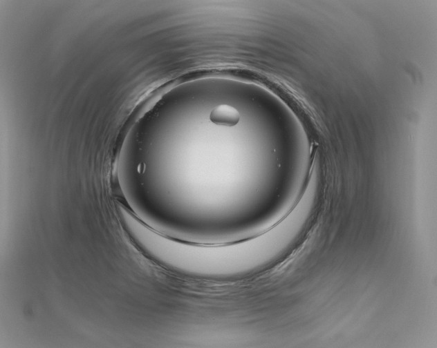 X0000110891273200906181238