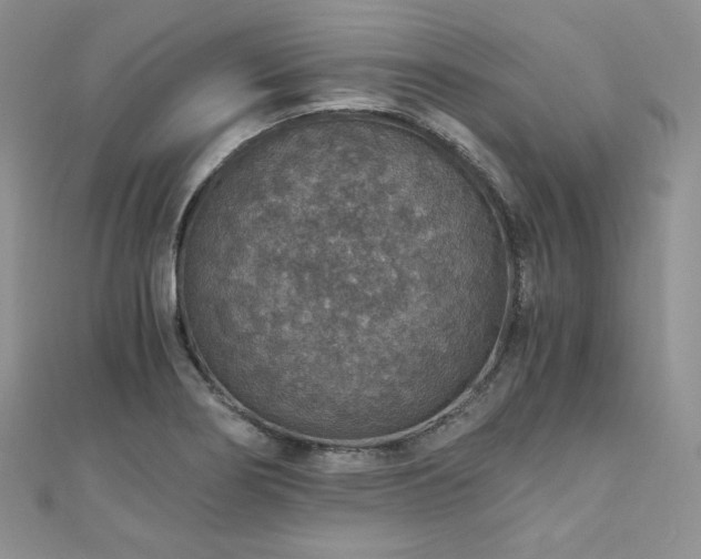 X0000110891274200906181238