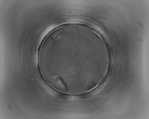 X0000110891275200906181238