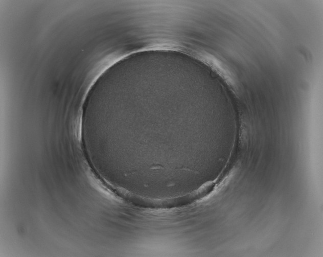 X0000110891276200906181238