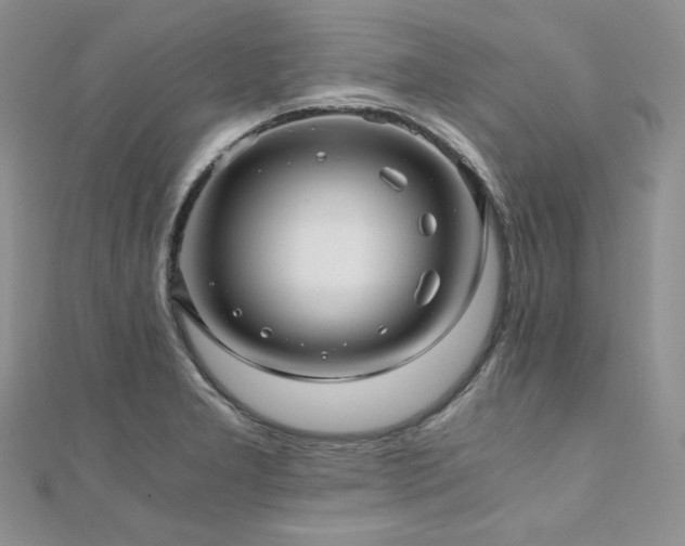 X0000110891277200906181238