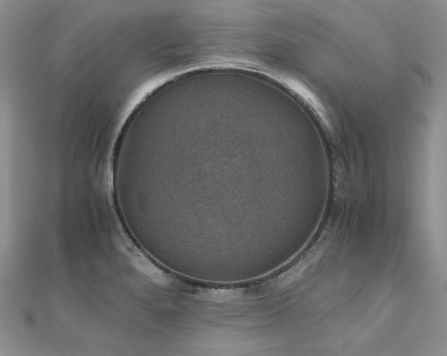X0000110891280200906181238