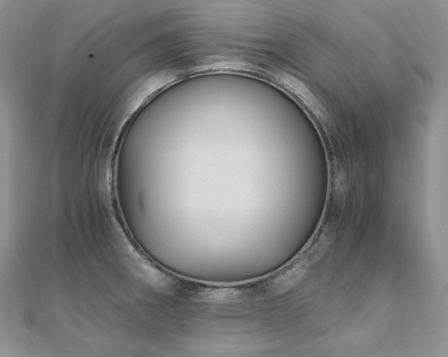 X0000110891282200906181238