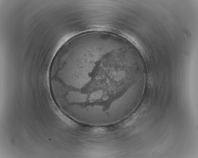 X0000110891283200906181238