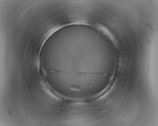 X0000110891284200906181238